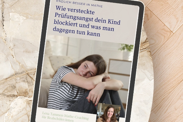 Darstellung des e-Book auf einem Tablet.